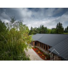 ZIPP korcolt hatású tetőlemez 